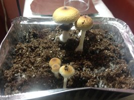 IMG_1052.JPG
