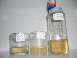 CL MEL COLONO- 2 MDK - 1 V. CHOPIM.JPG