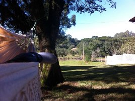 IMG_1333.jpg