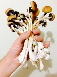 01 (12).jpg