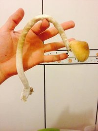 01 (16).jpg