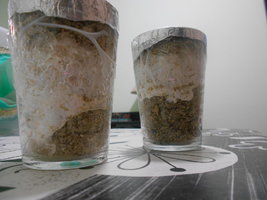 05-05 - casing 1.jpg