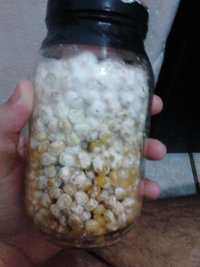 IMG080.jpg