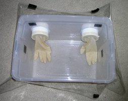 Glove box.jpg