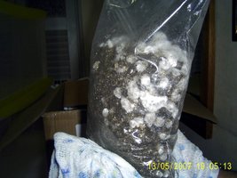 Imagem 0872.jpg