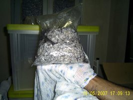 Imagem 0875.jpg