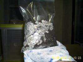 Imagem 0876.jpg