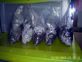 Imagem 0879.jpg
