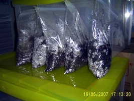 Imagem 0880.jpg