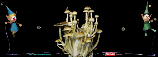 flyshoppa_magic_mushrooms_by_Sustagen.PNG