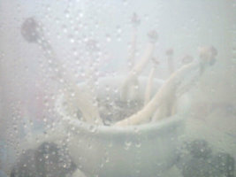 Fotografia 3.jpg