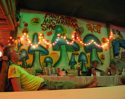 Mushroom-Shake-5311.jpg Mushroom-Shake-5311.jpg