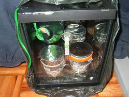 DSCF7829.JPG