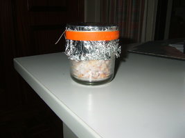 DSCF7830.JPG