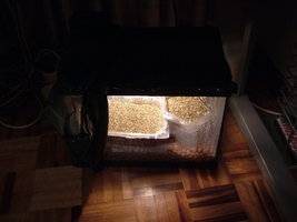 DSCF7890.JPG