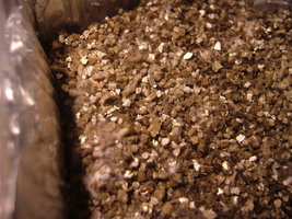 DSCF8111.JPG DSCF8111.JPG