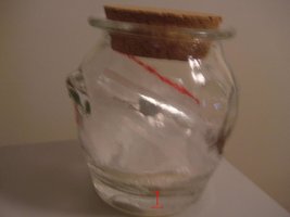 DSCF8117.JPG