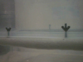 Fotografia 6.jpg