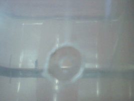 Fotografia 10.jpg