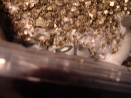 DSCF8124.JPG
