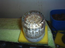S3010078-1.jpg