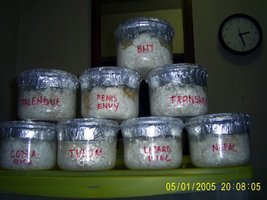 Imagem 0884.jpg