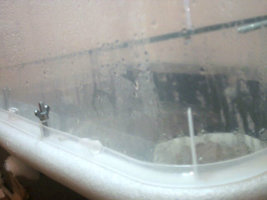 Casing3 (2).jpg