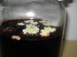 Imagem (2).jpg