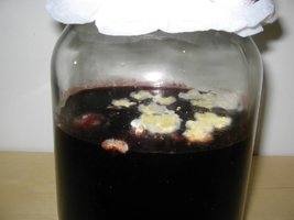 Imagem (3).jpg