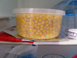 29-pote_pipoca.jpg