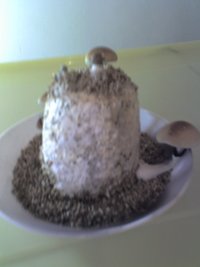 18-07-07_0905.jpg
