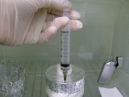 35-inoculando.jpg
