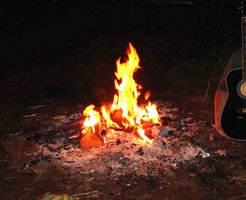viola e fogo.jpg