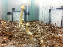 IMG_1395.jpg