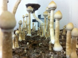 IMG_1404.jpg