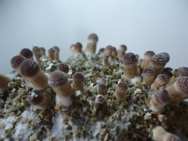 DSC07052.JPG