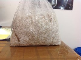 foto4.jpg