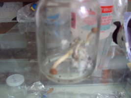 DSC01064.JPG