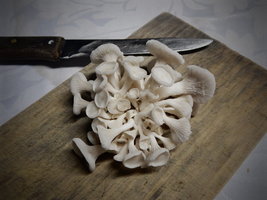 DSCN4288.JPG