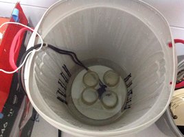 pasteuriza.jpg