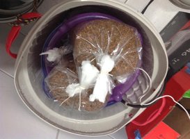 pasteuriza3.jpg