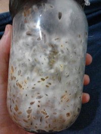 IMG096.jpg