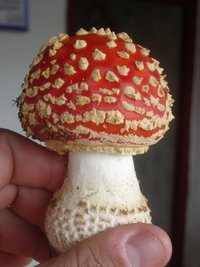 IMGP0105.JPG