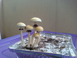 140417_213344.jpg