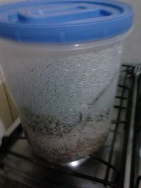 IMG101.jpg
