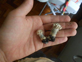 DSCN0940.JPG