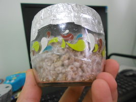 DSCN0929.JPG