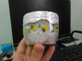 DSCN0930.JPG