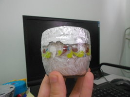 DSCN0932.JPG