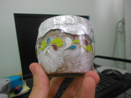 DSCN0933.JPG
